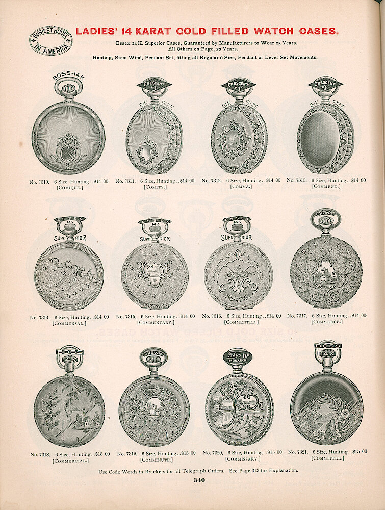 Busiest House in America Illustrated Catalog 1897 > 340