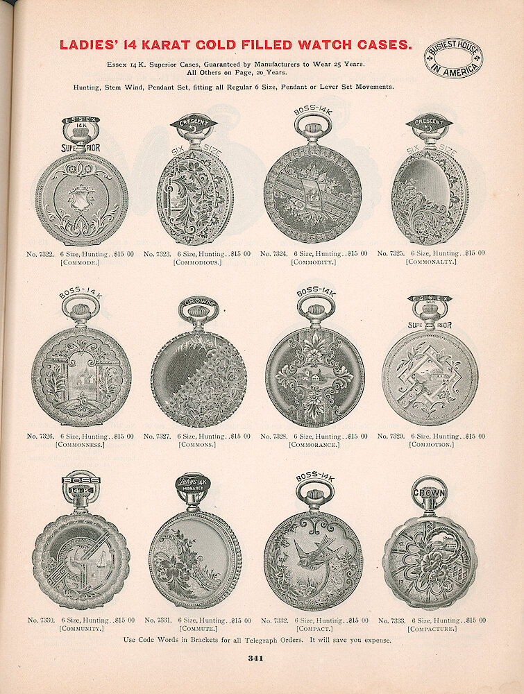 Busiest House in America Illustrated Catalog 1897 > 341