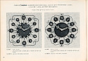 HECO Clock Catalog ca. 1960 -> 48
