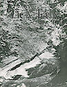 Westclox Tick Talk, October 20, 1920 (Factory Edit . . .